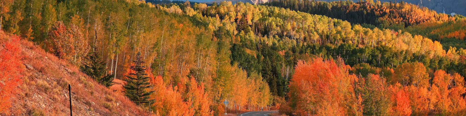 Bright fall foliage along San Juan skyway scenic byway in Colorado