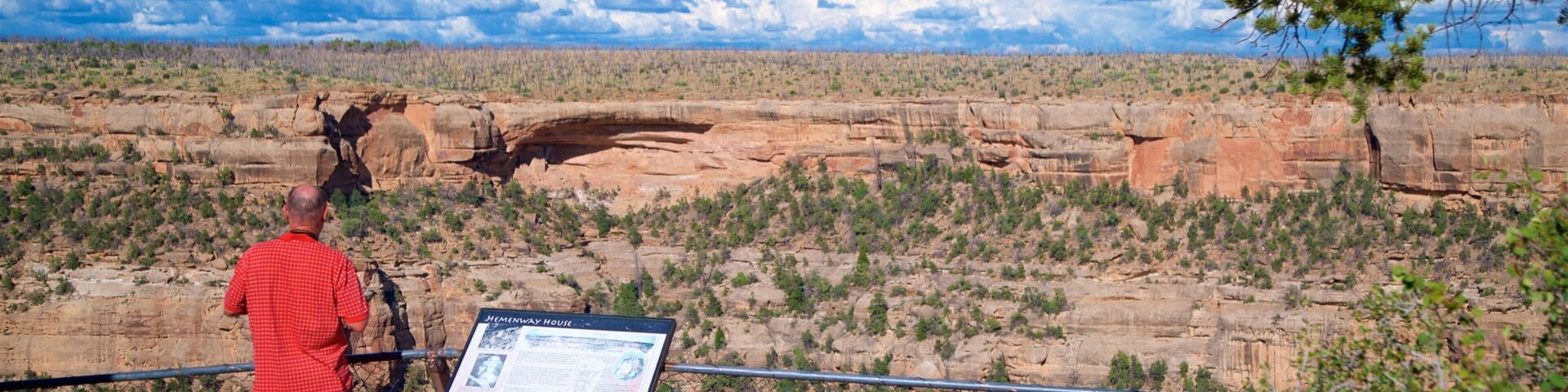 San Juan Skyway showing desert views, views and tranquil scenes