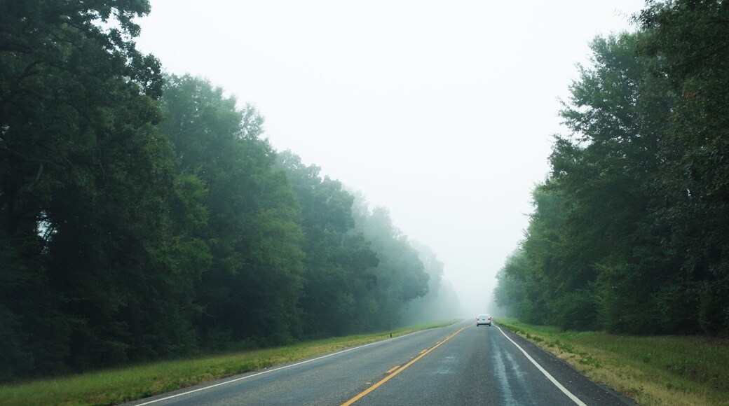 Sendero del Bosque de Texas