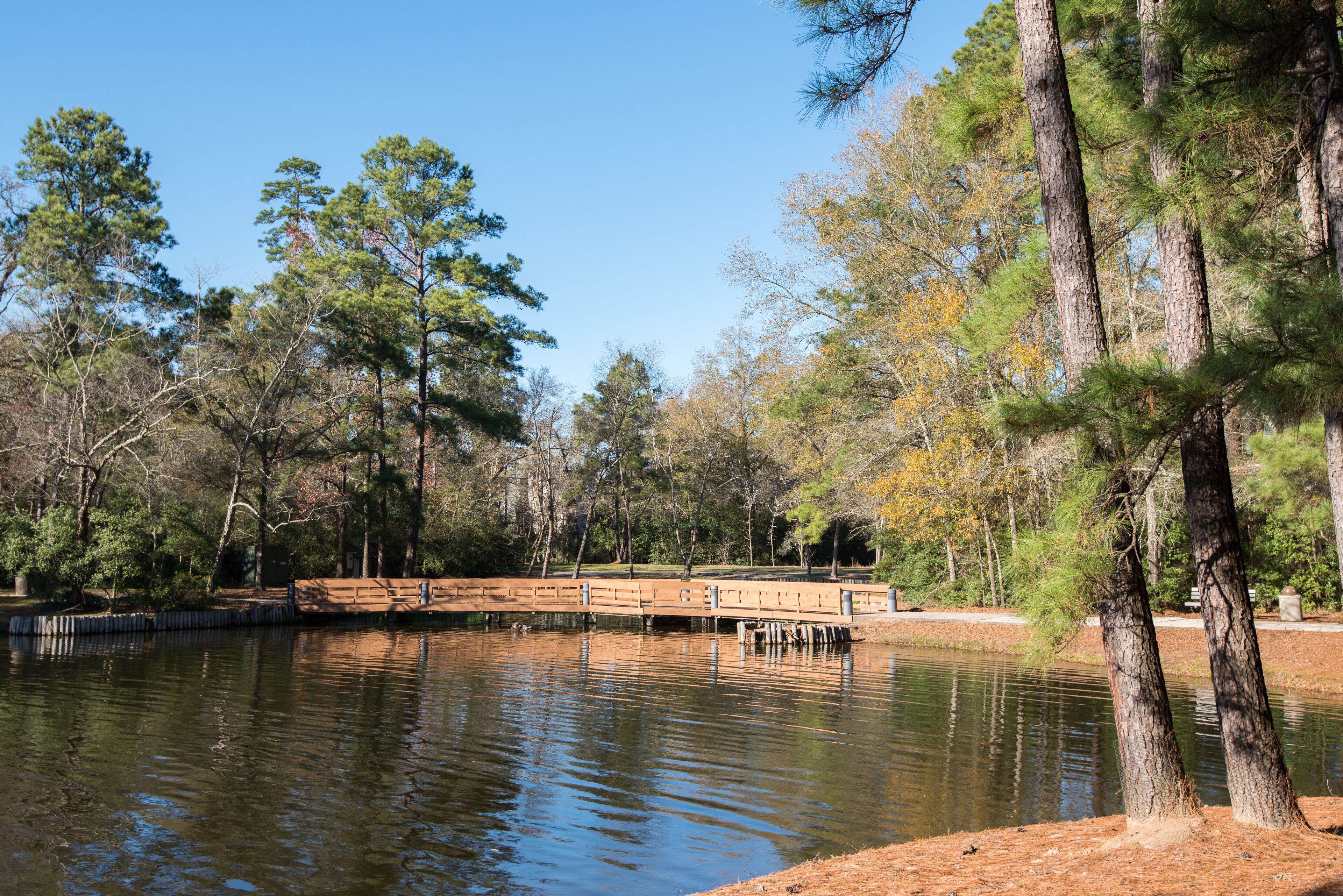 Sendero del Bosque de Texas