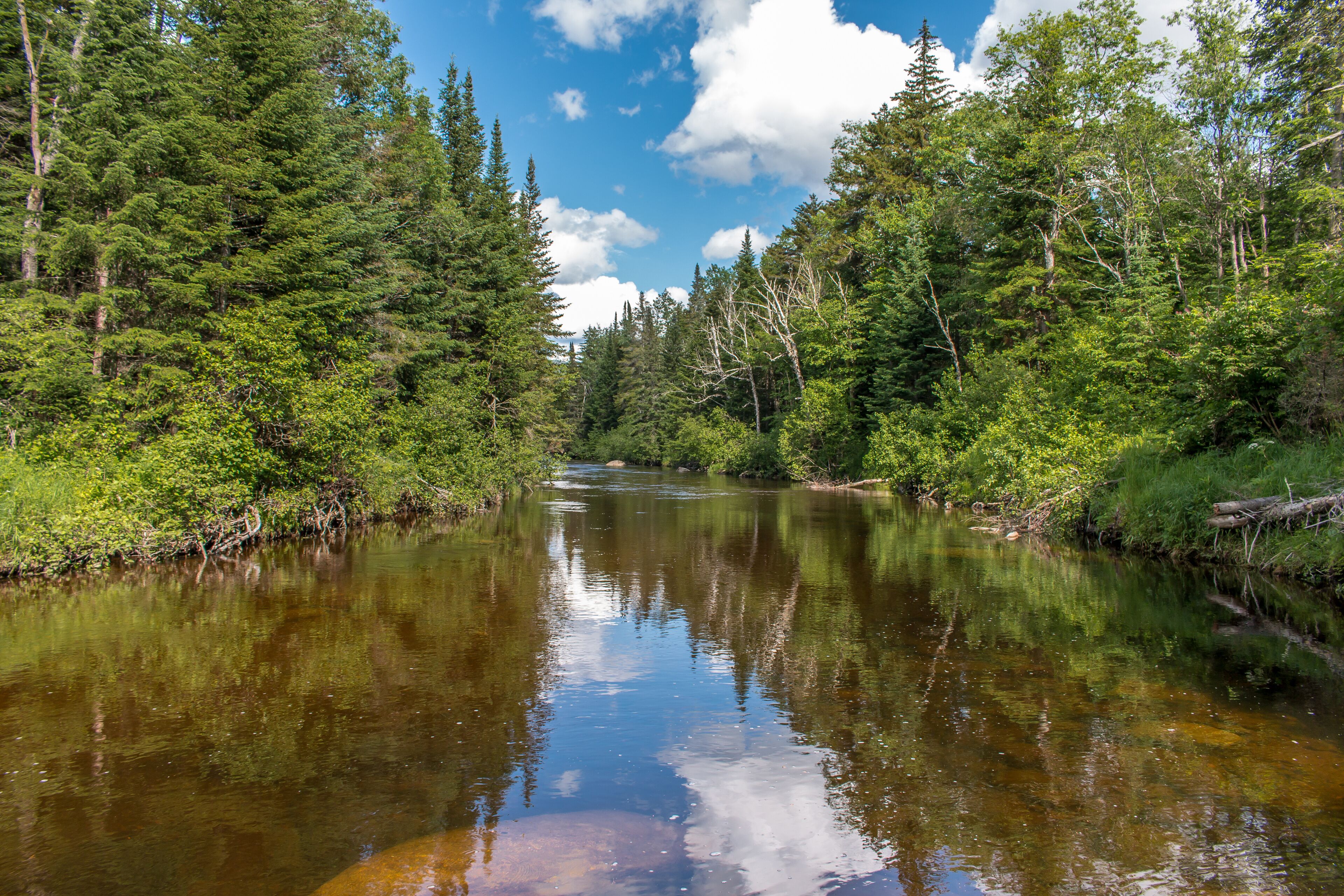 Sendero del Sur de Adirondack