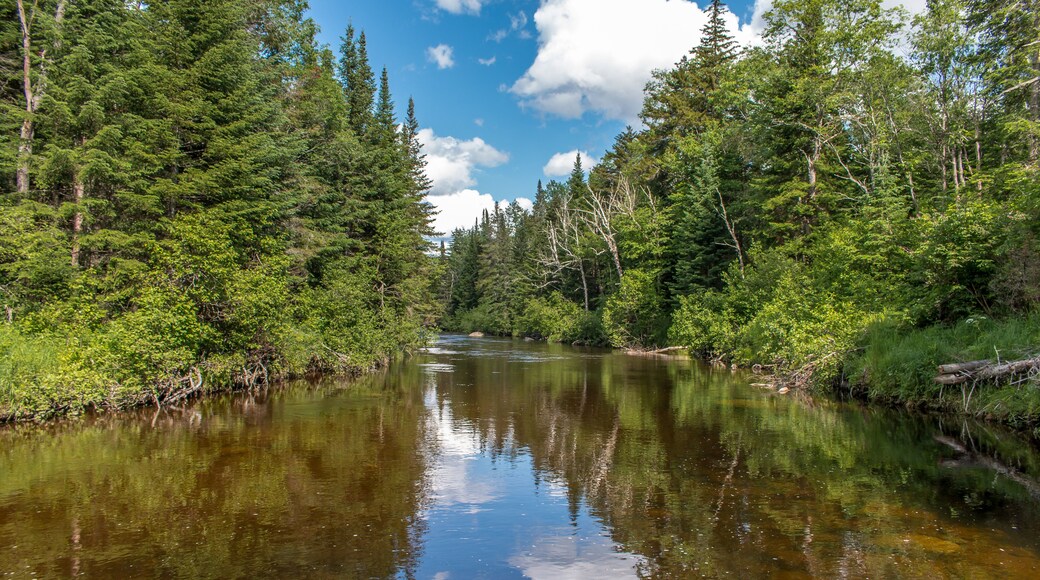 Sendero del Sur de Adirondack