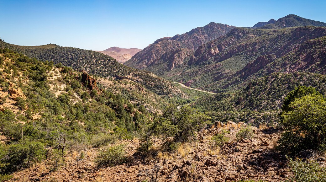 Coronado Trail Scenic Byway View