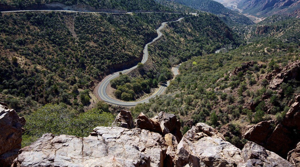 Arizona's Highway 191 between Clifton and Alpine is sometimes called the Devil's Highway and is supposedly the route Coronado took while traveling north.