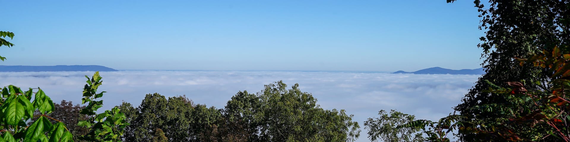 View of the Grand Canyon of Arkansas along scenic route 7 byway during autumn