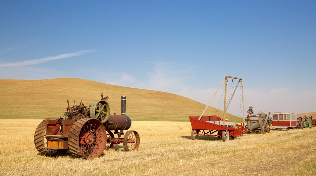 Palouse Scenic Byway which includes farmland