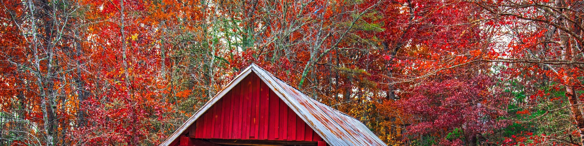 Campbells Covered Bridge in Autumn near Greenville South Carolin