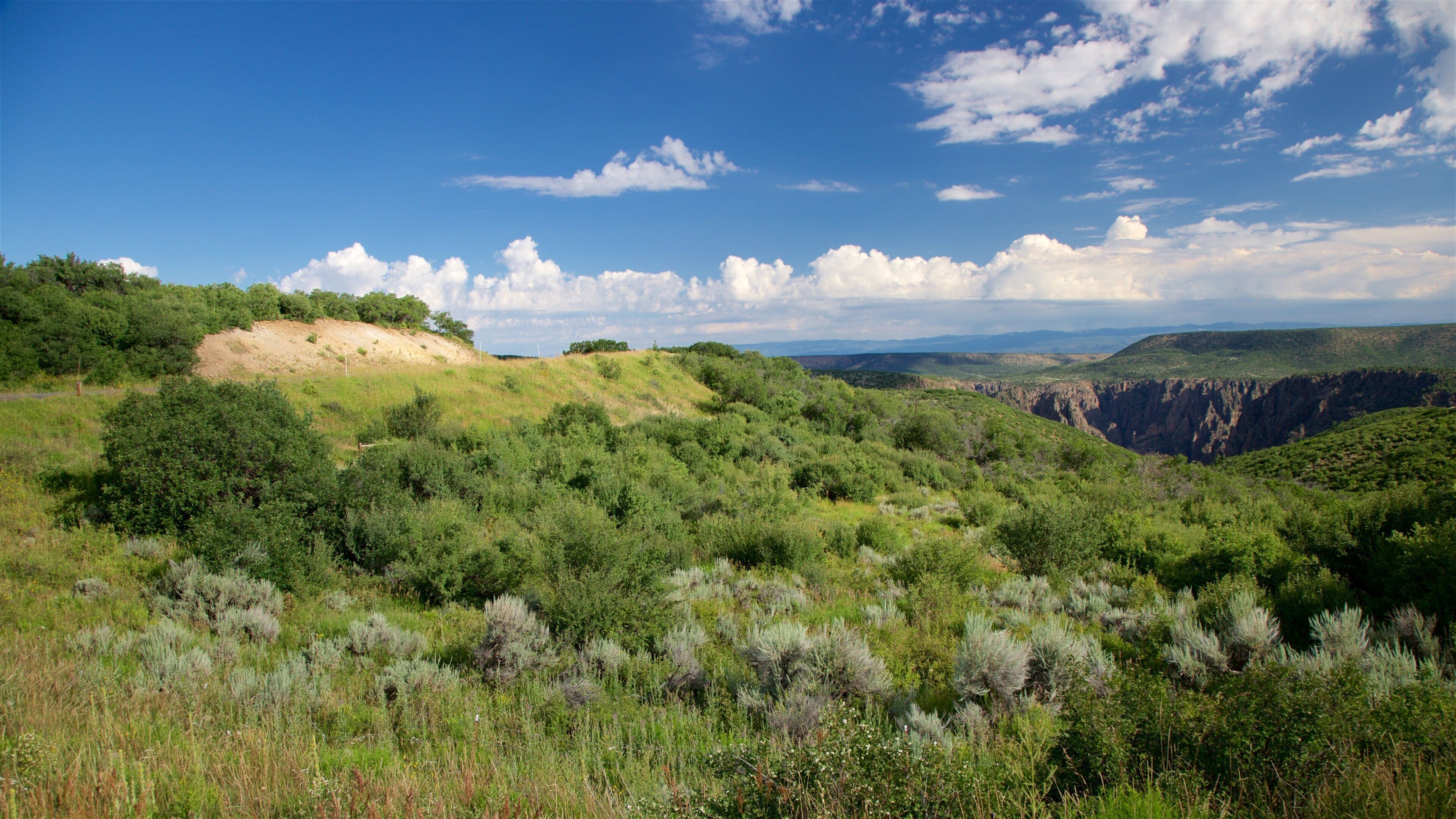 West Elk Loop which includes tranquil scenes