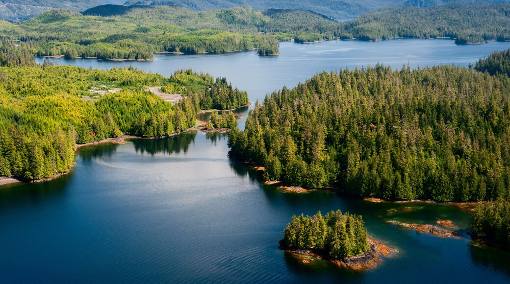 Alaska Prince of Wales island Ketchikan Aerial view