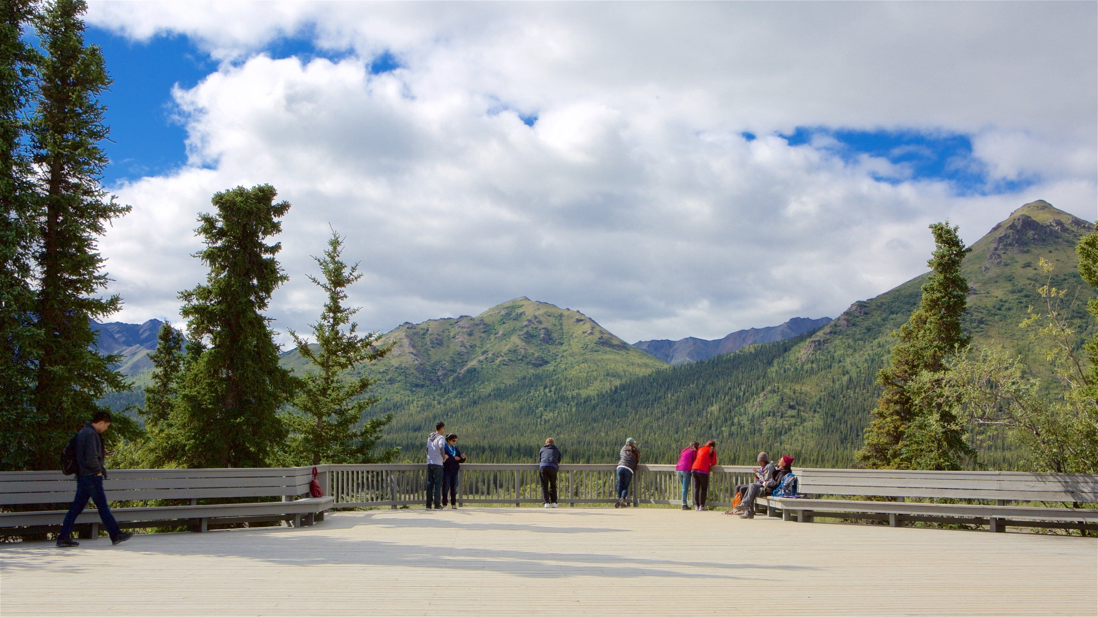 Parque Nacional de Denali mostrando vista y también un gran grupo de personas