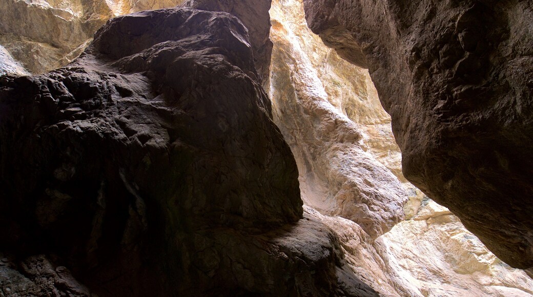 Los Caminos Antiguos showing a gorge or canyon