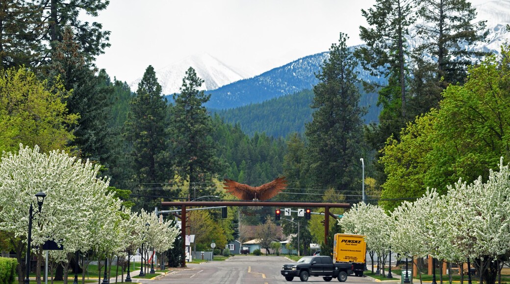 Ruta Escénica del Lago Koocanusa