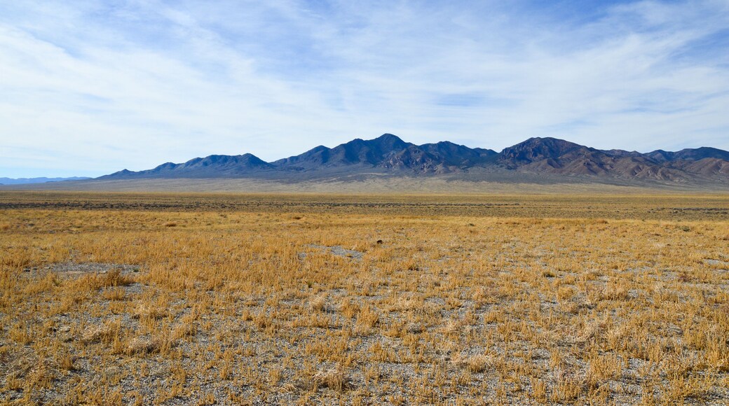 Rodovia Extraterrestre