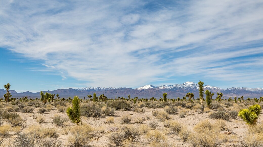 Rodovia Extraterrestre