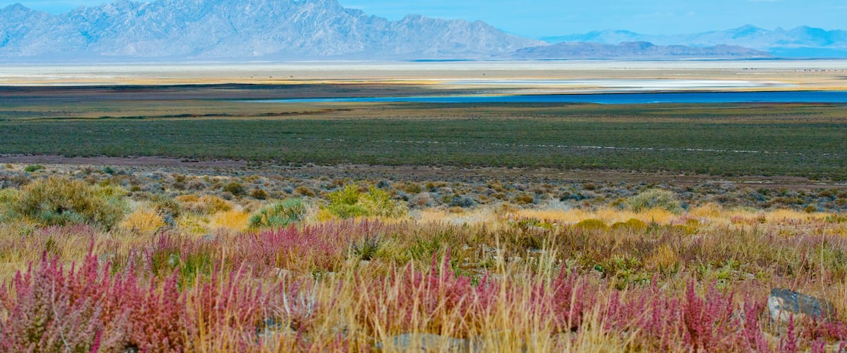 A vast desert landscape with mountains in the background and colorful vegetation in the foreground.