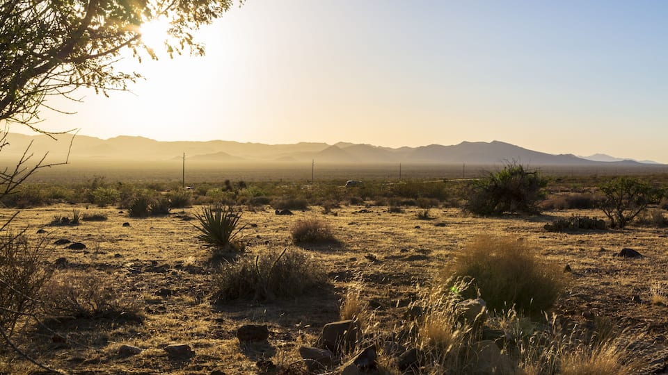 A desert landscape with sparse vegetation, a distant mountain range, and a clear sky.