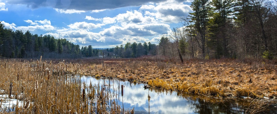 Rush Pond Trail Adirondacks Upstate New York