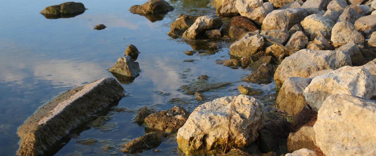 A rocky shoreline with clear water reflecting the rocks and a distant tree line.