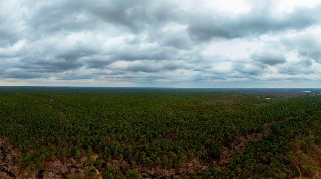 Aerial Panorama of the New Jersey Pinelands