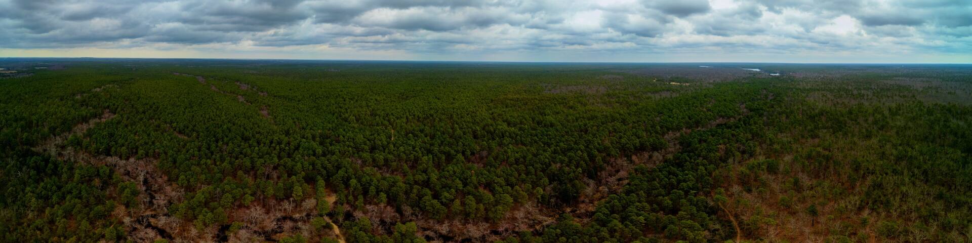 Aerial Panorama of the New Jersey Pinelands