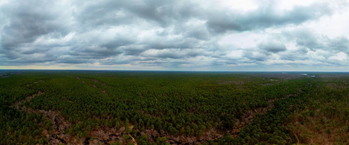 A vast forested landscape with a cloudy sky.