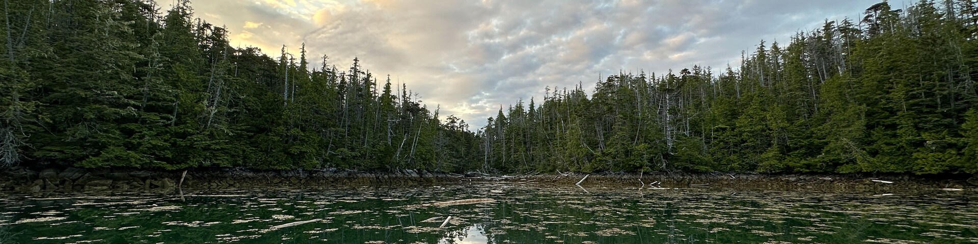 Scenic view of a bay or anchorage along the Central Coast of British Columbia filled with logs and debris. Near Stryker Island, British Columbia, Canada