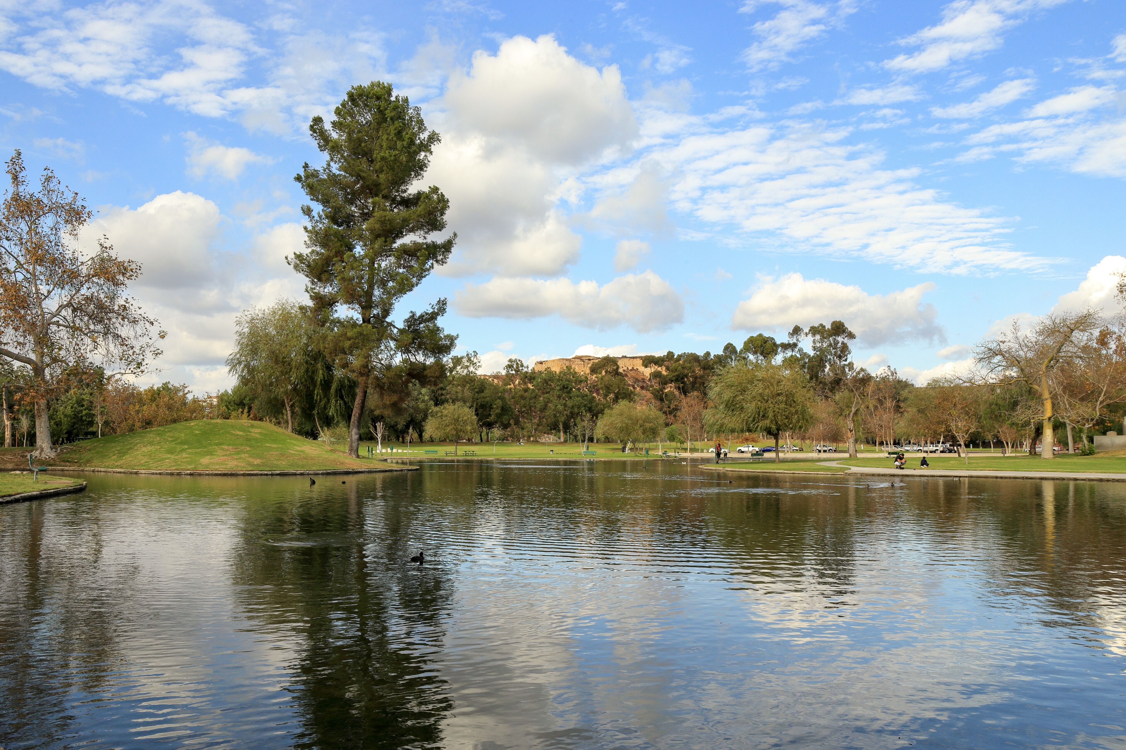 Un lago tranquilo que refleja árboles y una colina distante.