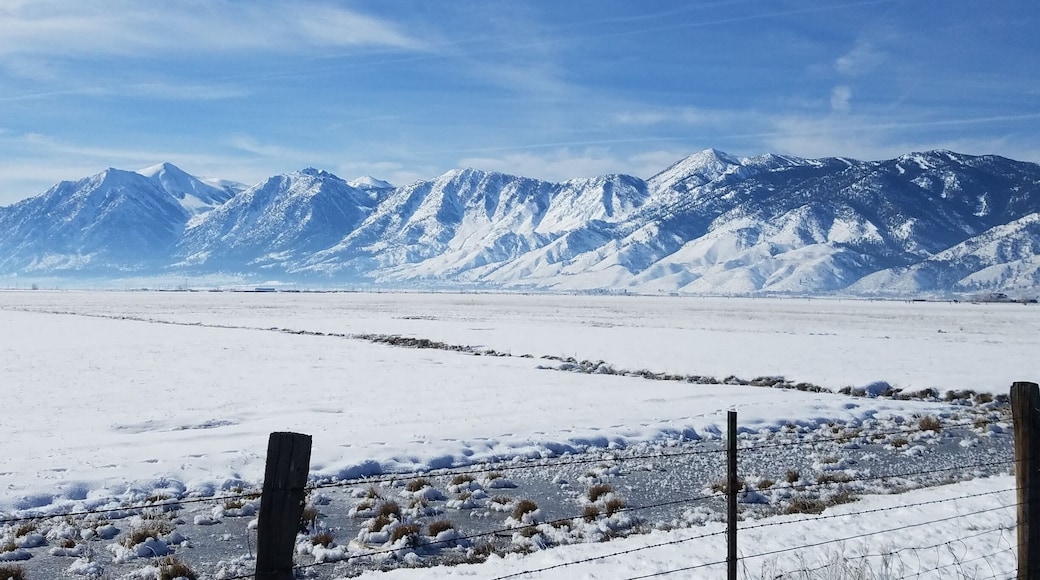 January in the Carson Valley. Kingsbury off in the distance.
