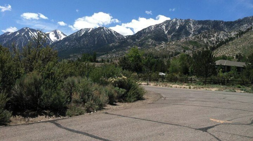 Gardnerville, Nevada. One of my favorite towns