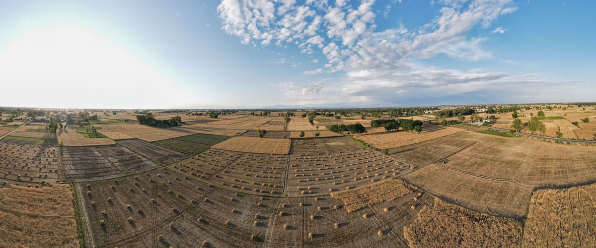 An aerial view of a vast agricultural landscape with fields of varying crops and a clear sky.