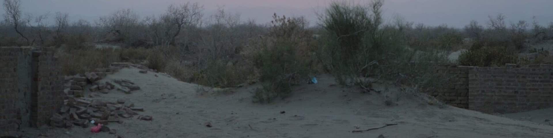 End of another adventurous day in Rajanpur District, Punjab, Pakistan.