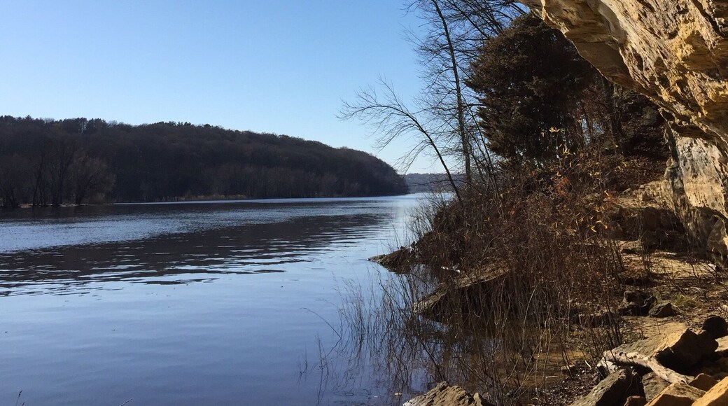 The St. Croix river reflects up onto the underside of the cliffs above. Hiking south from the boom cave between the cliffs and the river in the fall after the foliage has dropped. You can hike about three tenths of a mile to just below the scenic overlook before you hit a private property line. A short but fun hike with views you won't find elsewhere. Also, the tree in the upper left is growing straight upside down from the cliff above.