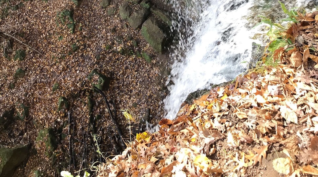 Just heard of Fairy Falls in the town I have loved for 30 yrs! Unbelievable!