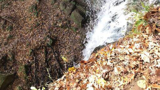 Just heard of Fairy Falls in the town I have loved for 30 yrs! Unbelievable!