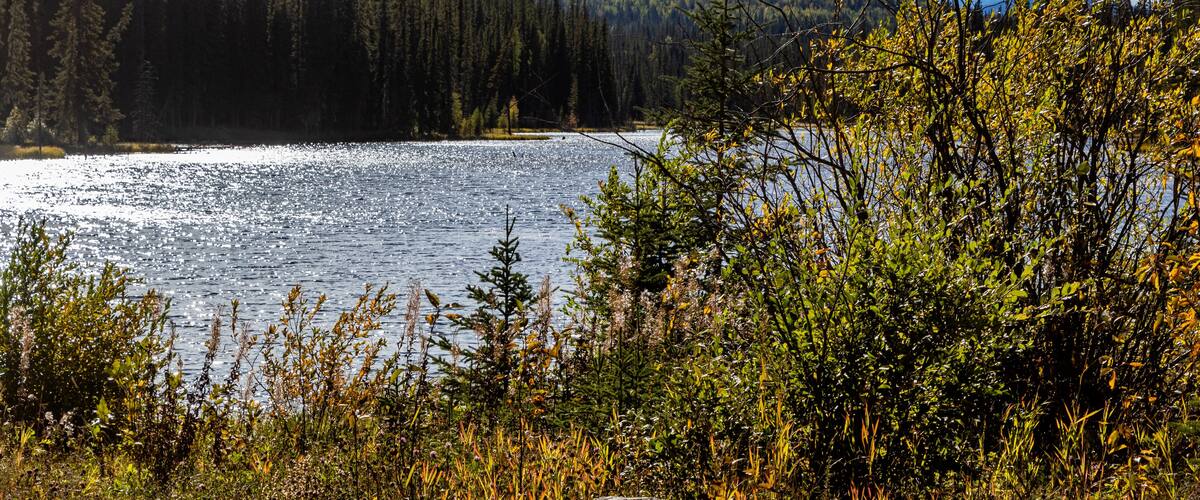 A lake surrounded by dense forest and mountains.