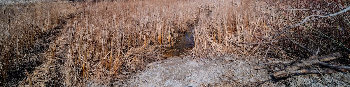 Ein ausgetrocknetes Flussbett mit vereinzelter Vegetation und blauem Himmel.