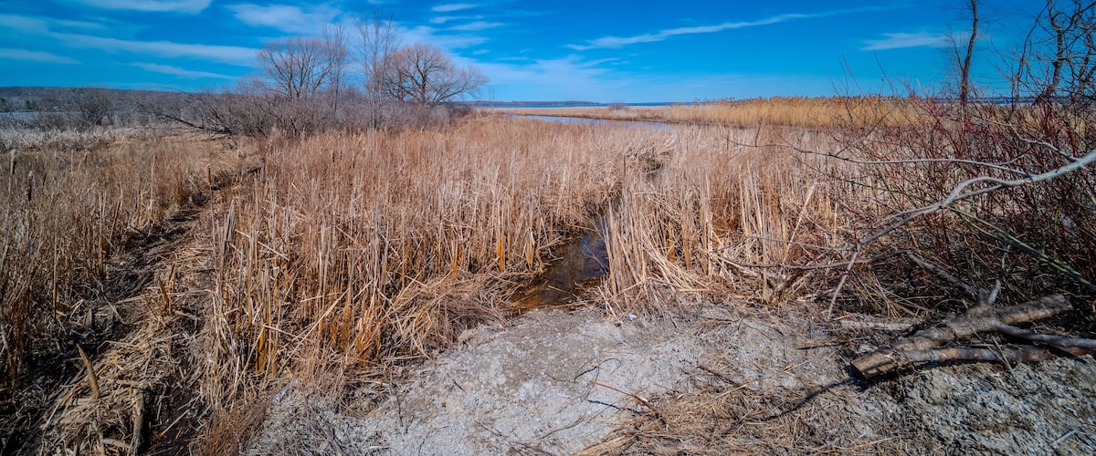 Scenic view of the serene landscape by Sturgeon Bay near Casawell Beach, Waubaushene, featuring the natural beauty of Robins Point in Tay, Simcoe County, Ontario, Canada. Overlooking Green Island, the