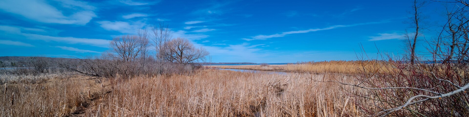 Scenic view of the serene landscape by Sturgeon Bay near Casawell Beach, Waubaushene, featuring the natural beauty of Robins Point in Tay, Simcoe County, Ontario, Canada. Overlooking Green Island, the
