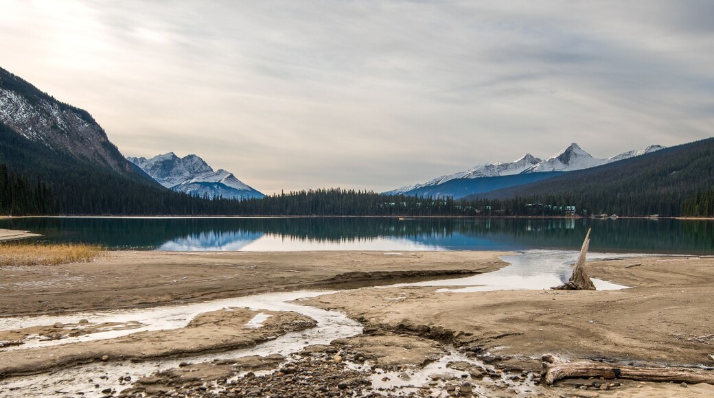 District d'Amélioration No. 349