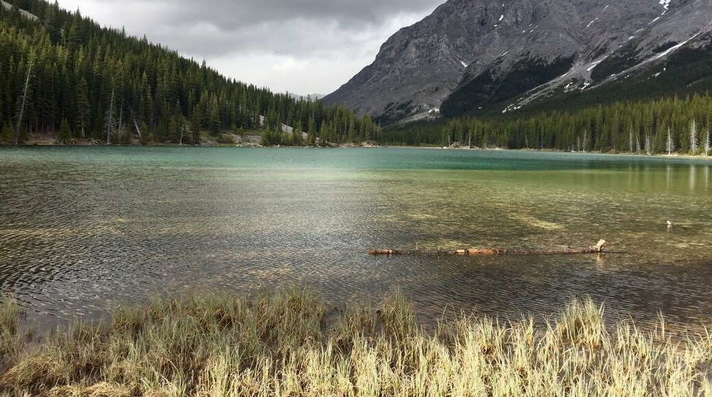 Peter Lougheed Provincial Park