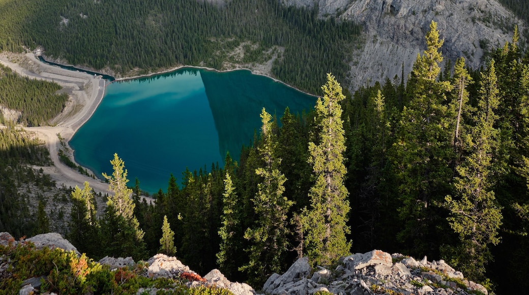 My partner and I are lucky enough to work a shift patern of 10 on, 5 off. On our 5 off we do all we can to go on an #adventure. On this set of days off we did 4 incredible hikes in and around Banff, Jasper and Yoho National Parks.
We are so lucky to be in our position and know it won't last forever. But our need for #adventure will never leave.