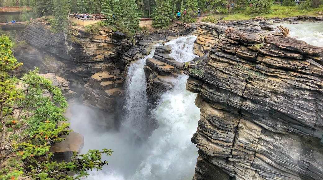 You get to experience the sheer beauty and power of nature here. A breathtaking sight, you can also walk down to the lower falls through one of the old water channels which is great to see.