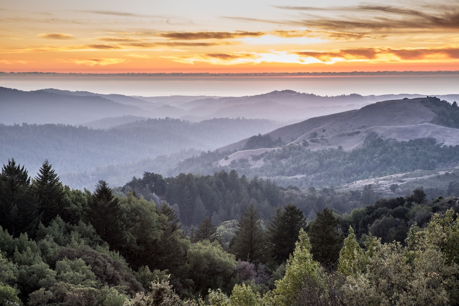 Hazy Forest Rolling Hills Ocean Sunset of Santa Cruz Mountains. Russian Ridge Open Space Preserve, San Mateo County, California, USA.