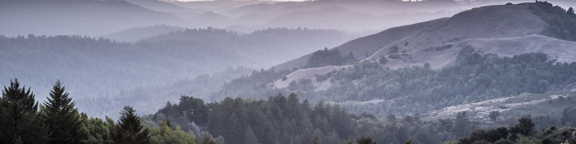 Hazy Forest Rolling Hills Ocean Sunset of Santa Cruz Mountains. Russian Ridge Open Space Preserve, San Mateo County, California, USA.