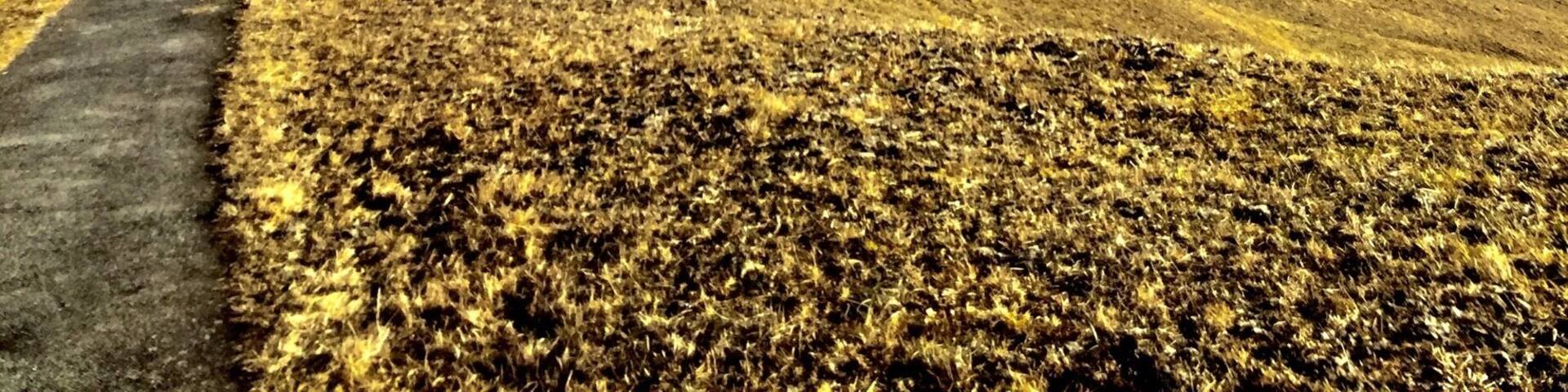 A walk from splugen in Switzerland to the nearby village of sufers. A beautiful walk in the winter sun