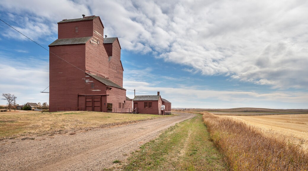Old grain elevator on the prairie at the town of Rowley, Alberta