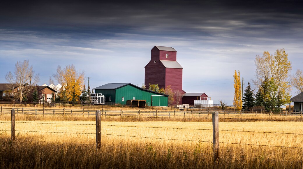 Grain elevator standing tall in a farmyard on the Alberta prairies under a dramatic sky and barbed wire fence.