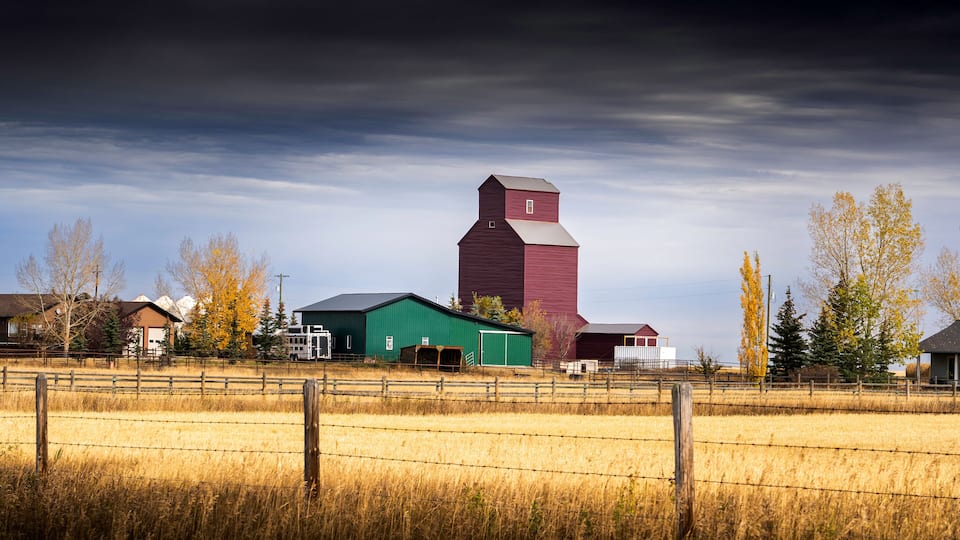 A red barn, a green building, and a field with a fence.