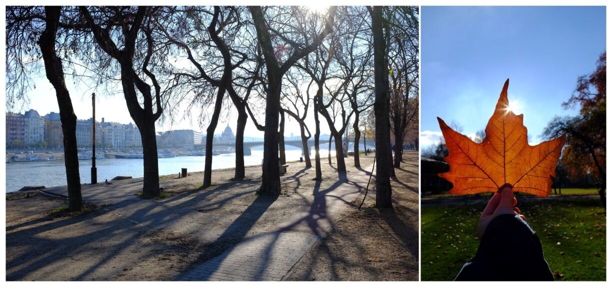 What a beautiful discovery! It was the first day of winter but felt more like spring. No cars are allowed in this little island. You can easily & pleasantly kill few hours there x 