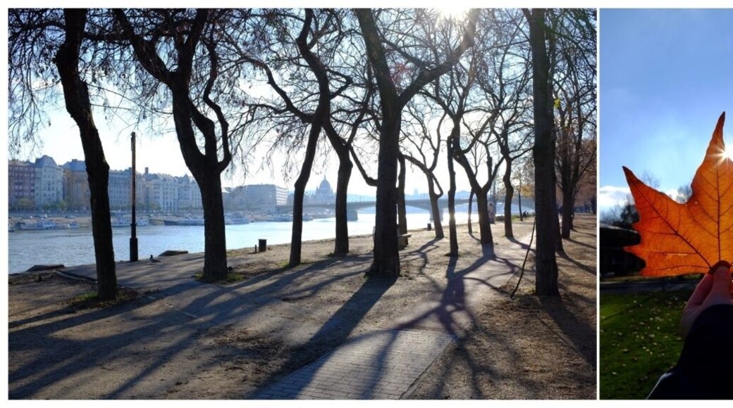 What a beautiful discovery! It was the first day of winter but felt more like spring. No cars are allowed in this little island. You can easily & pleasantly kill few hours there x